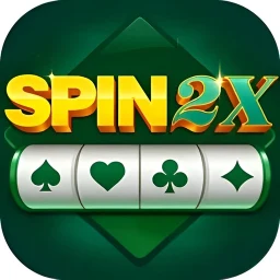 Icono de Spin 2x